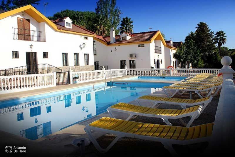 Piscina con tumbonas amarillas